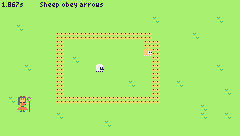 TERESA AND HER SHEEP