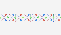 DNA MOTION