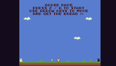 GOOSE RACE