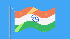 INDIAN FLAG